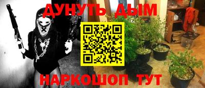 прущие крисы Будённовск