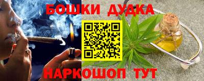 прущие крисы Будённовск